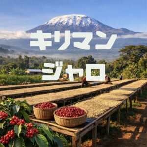 タンザニア キリマンジャロ キゴマ カンヨブ組合ウォッシュ AA